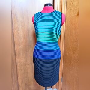 Calvin Klein Striped Blue and Black Midi Dress